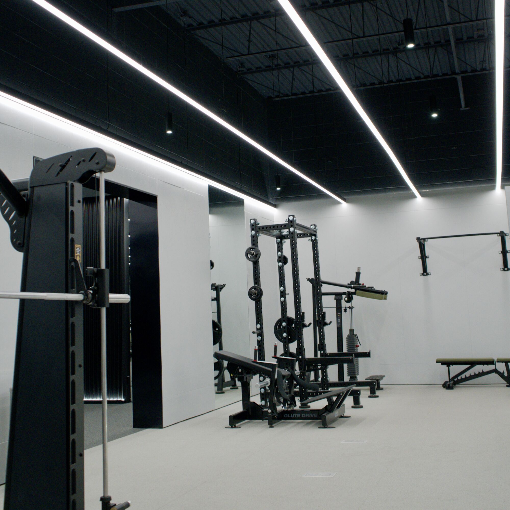 Squat racks under a black ceiling with continuous linear light